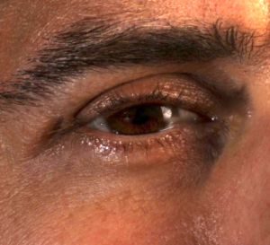 Close up of Chris's eye, from this gigapan.